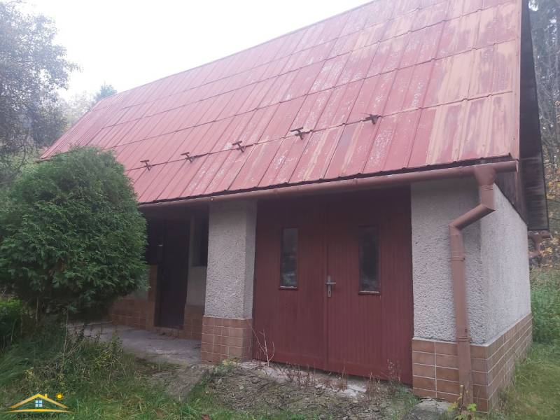 3109508_18.jpg