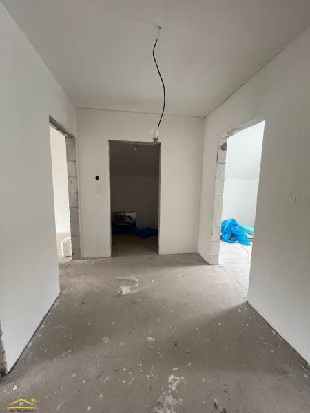 image2 (40).jpeg