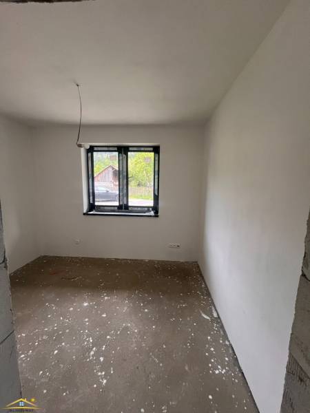 image2 (36).jpeg