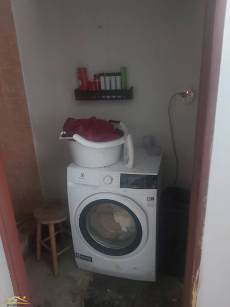 20250425_120604.jpg