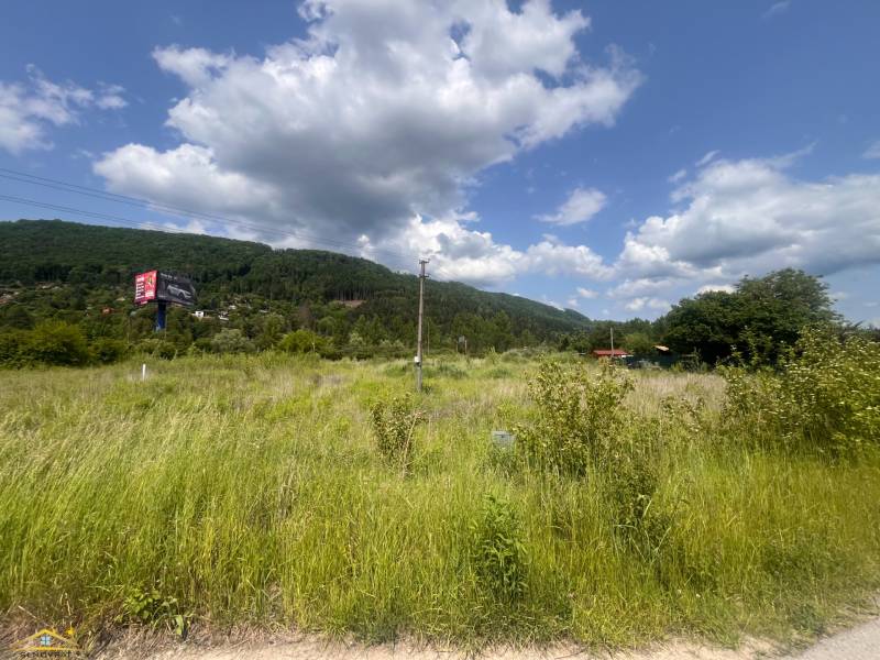 image1 (38).jpeg