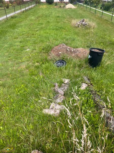 image1 (44).jpeg