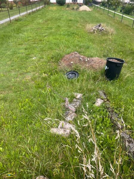 image0 (52).jpeg