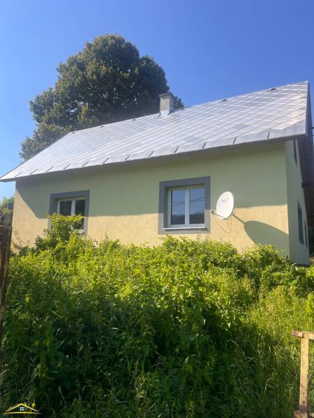 image1 (45).jpeg
