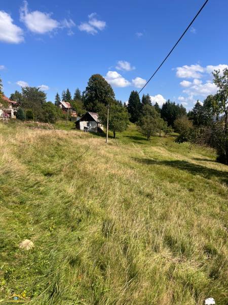 image1 (46).jpeg