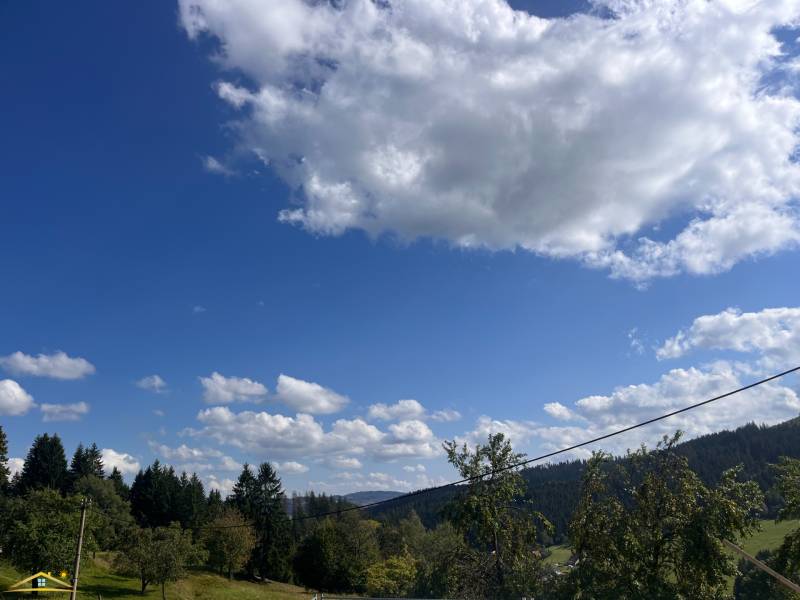 image0 (55).jpeg
