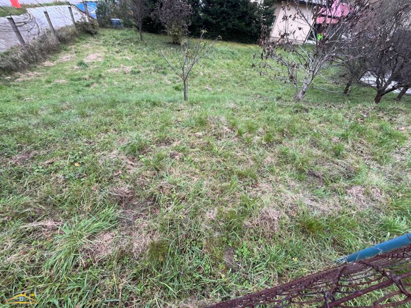 image0 (75).jpeg