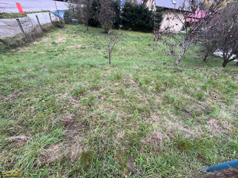 image1 (63).jpeg
