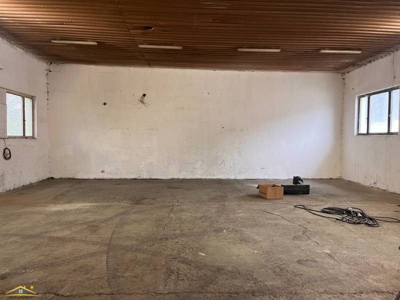 image2 (61).jpeg