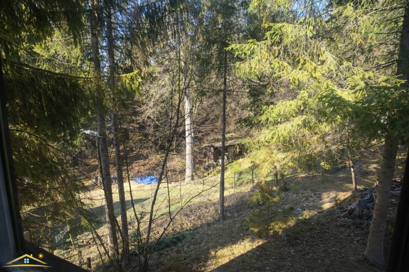  Image 3. 3. 2026, 10_05_55.png