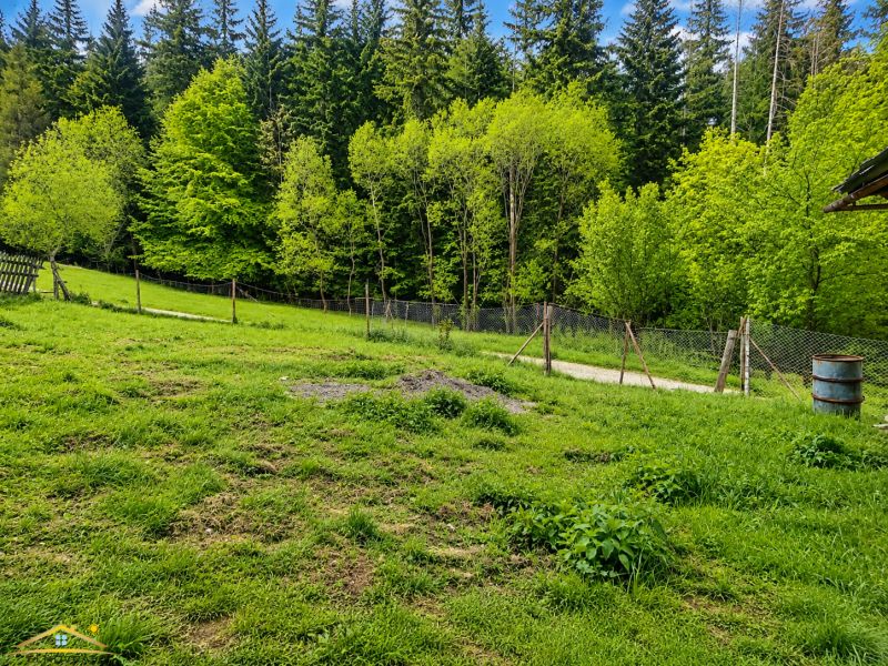 Image 20. 5. 2026, 10_13_53 (1).png