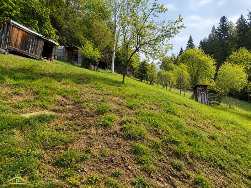 Image 20. 5. 2026, 10_13_53 (6).png