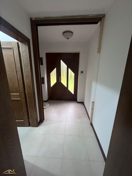 image3 (60).jpeg